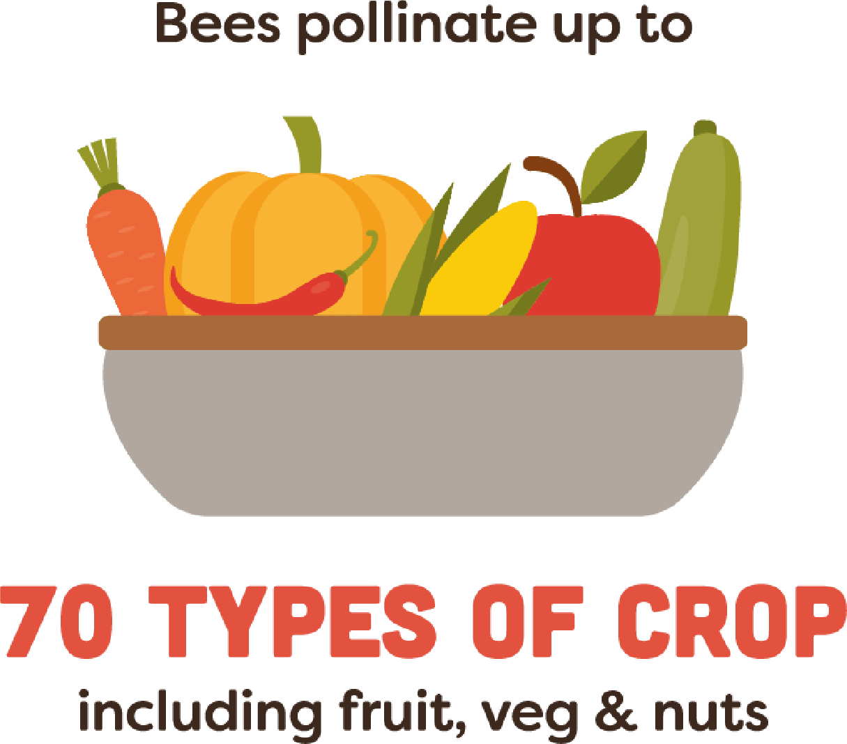 Bees pollinate up to 70 types of crop including fruit, veg & nuts